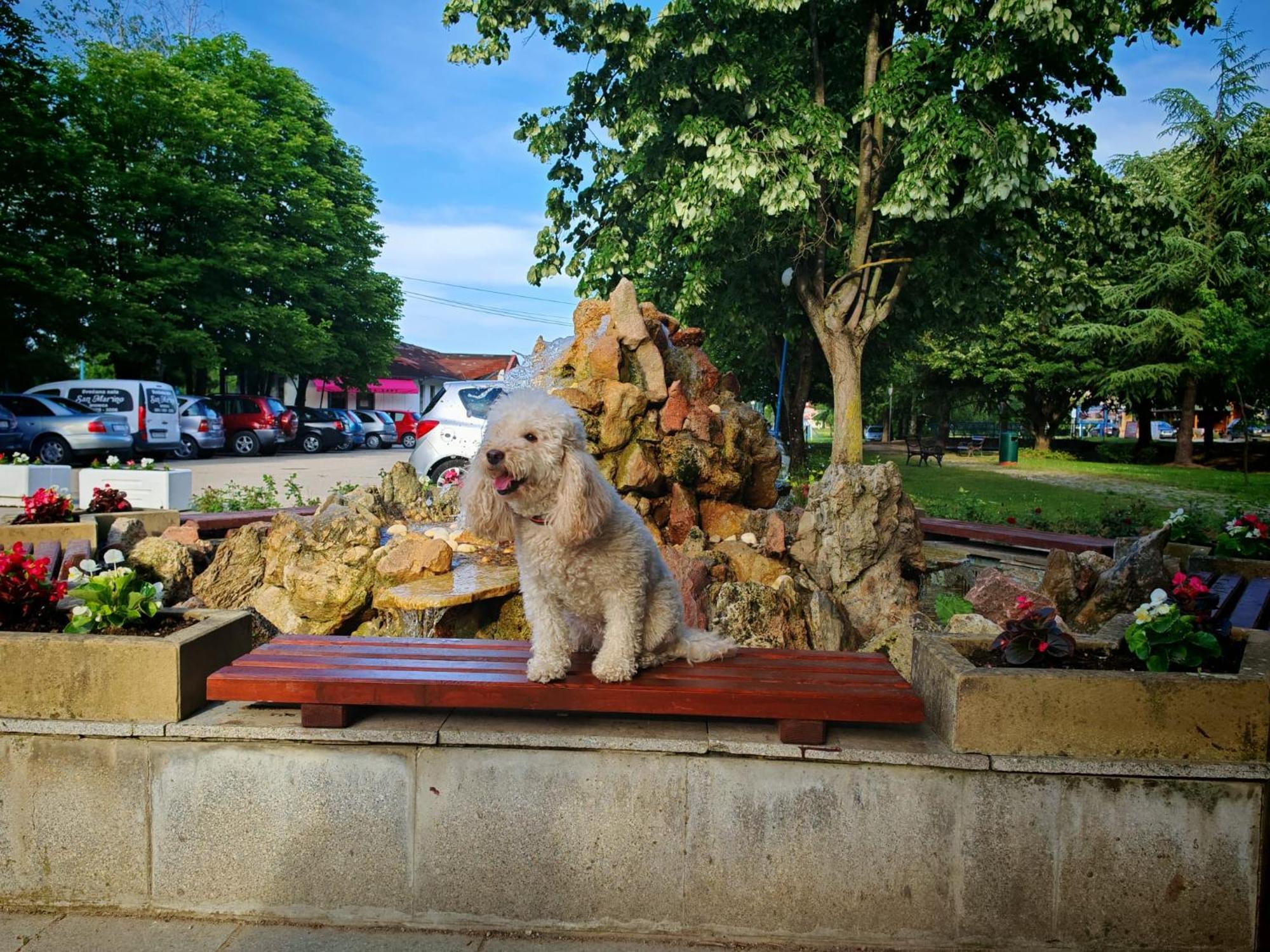 Apartmani La Magaza Banja Vrujci Berkovac Экстерьер фото