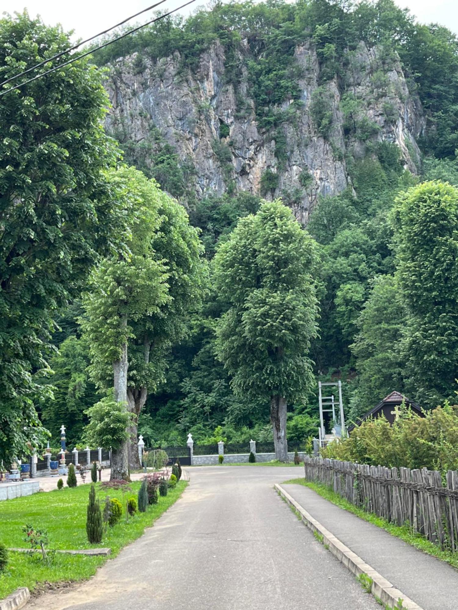 Apartmani La Magaza Banja Vrujci Berkovac Экстерьер фото